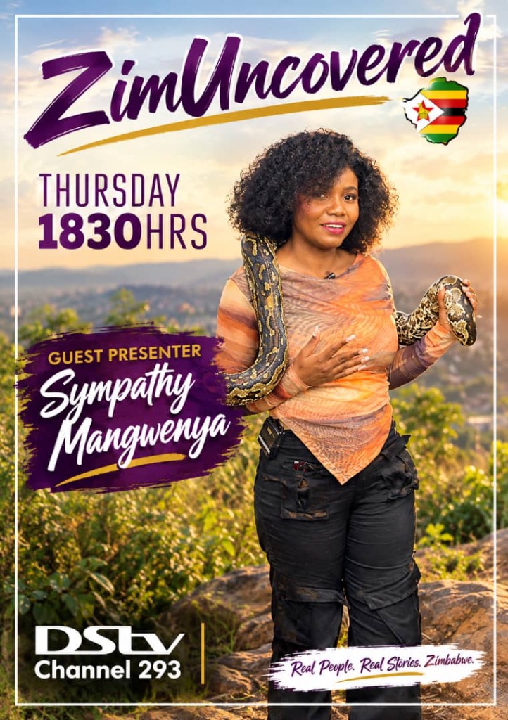 ZimUncovered - Travel & Culture Show Poster